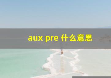 aux pre 什么意思